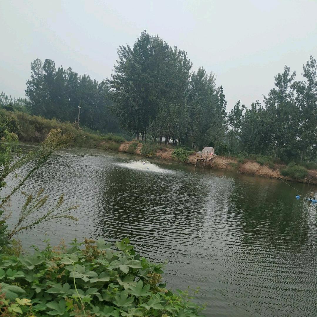 梦想