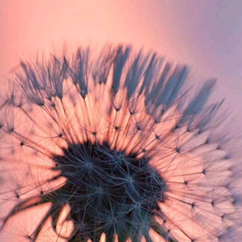 金梅读书育儿～最温柔的教养