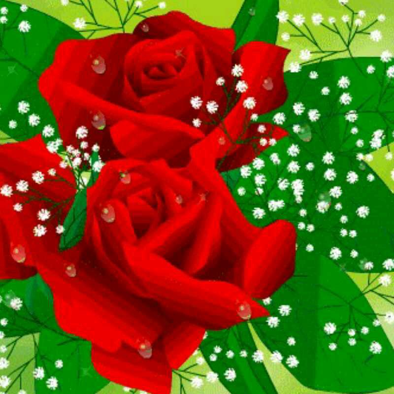 冷暖自知🌹