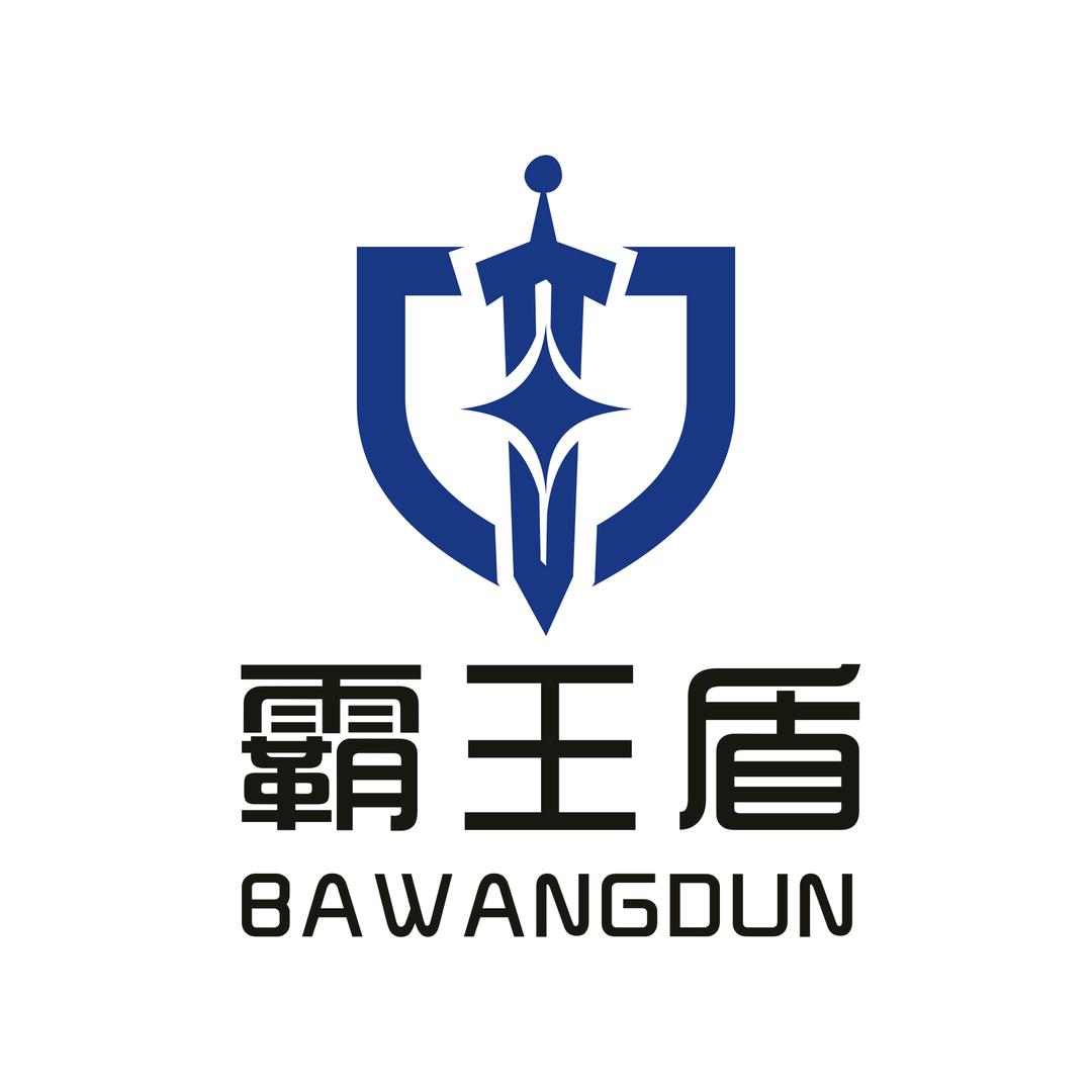 霸王盾锁具