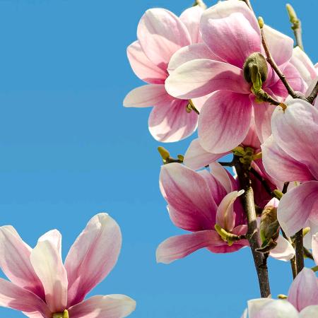 🍒🍒冬🦑🦑雪🍒🍒