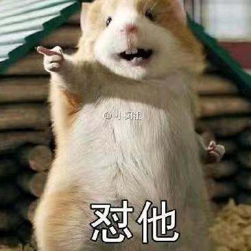 朱玉保