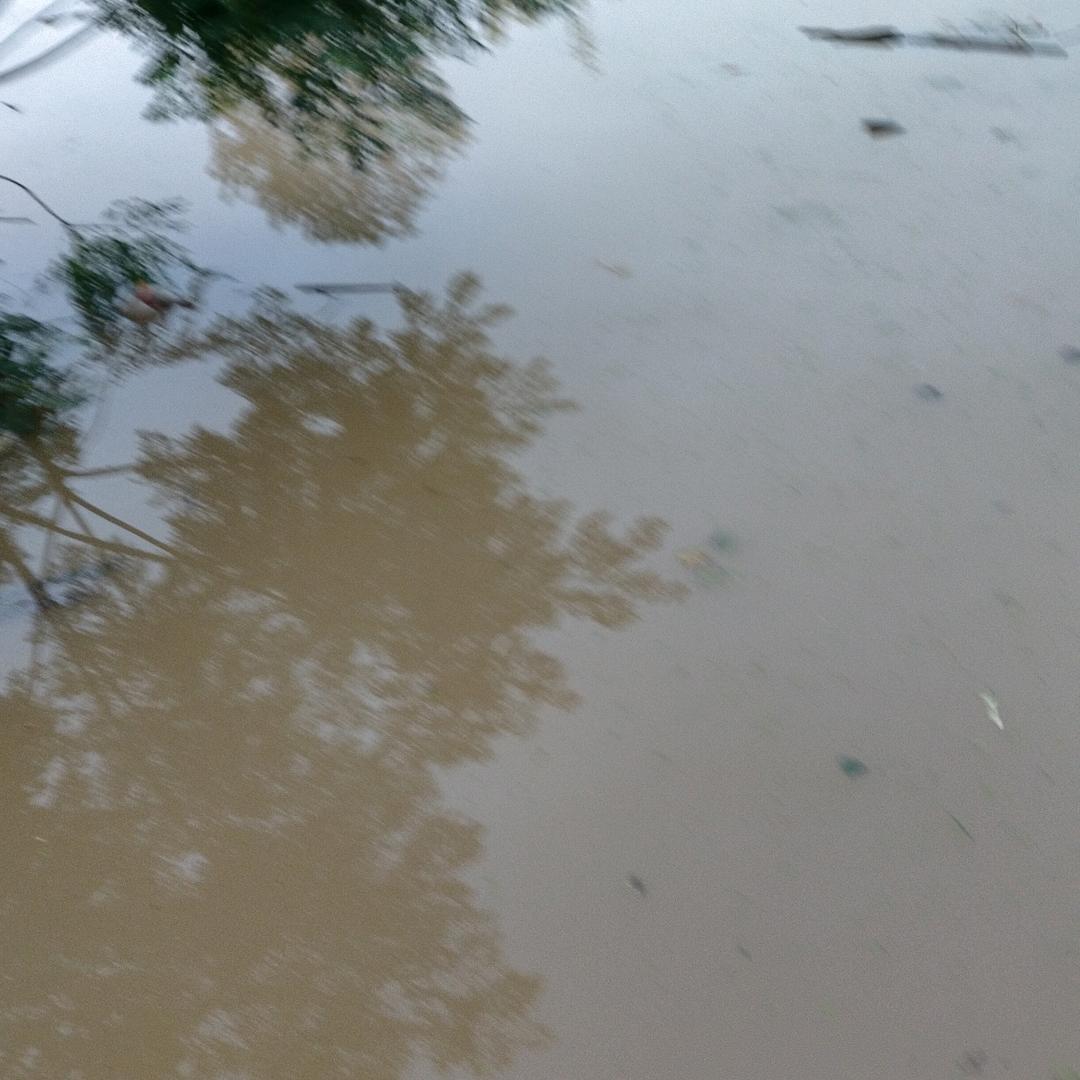 老常