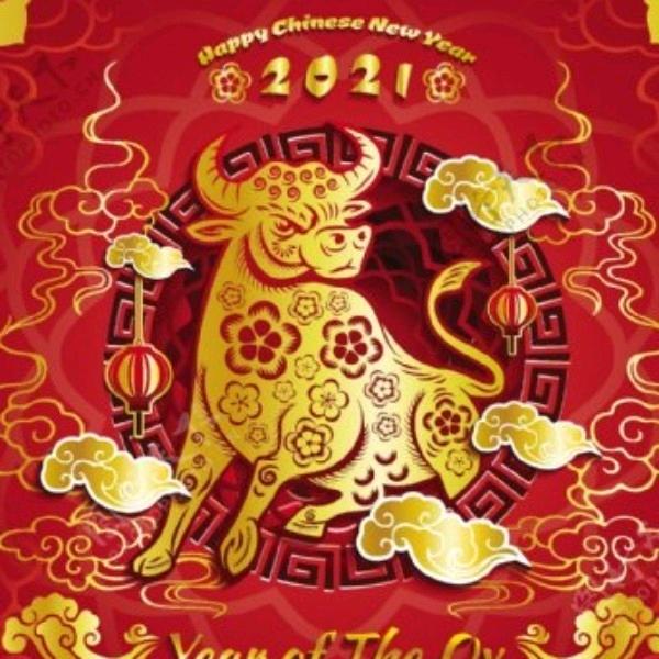 黑与白