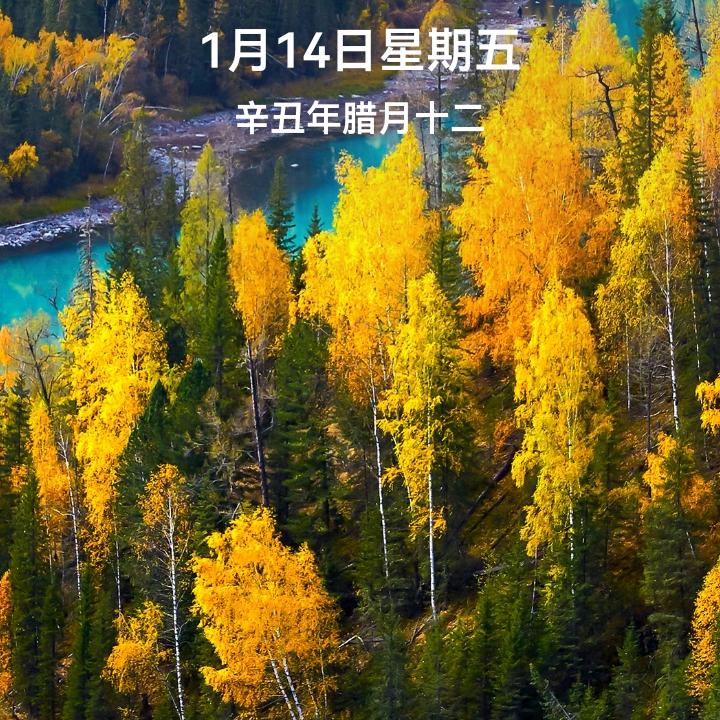 农村人