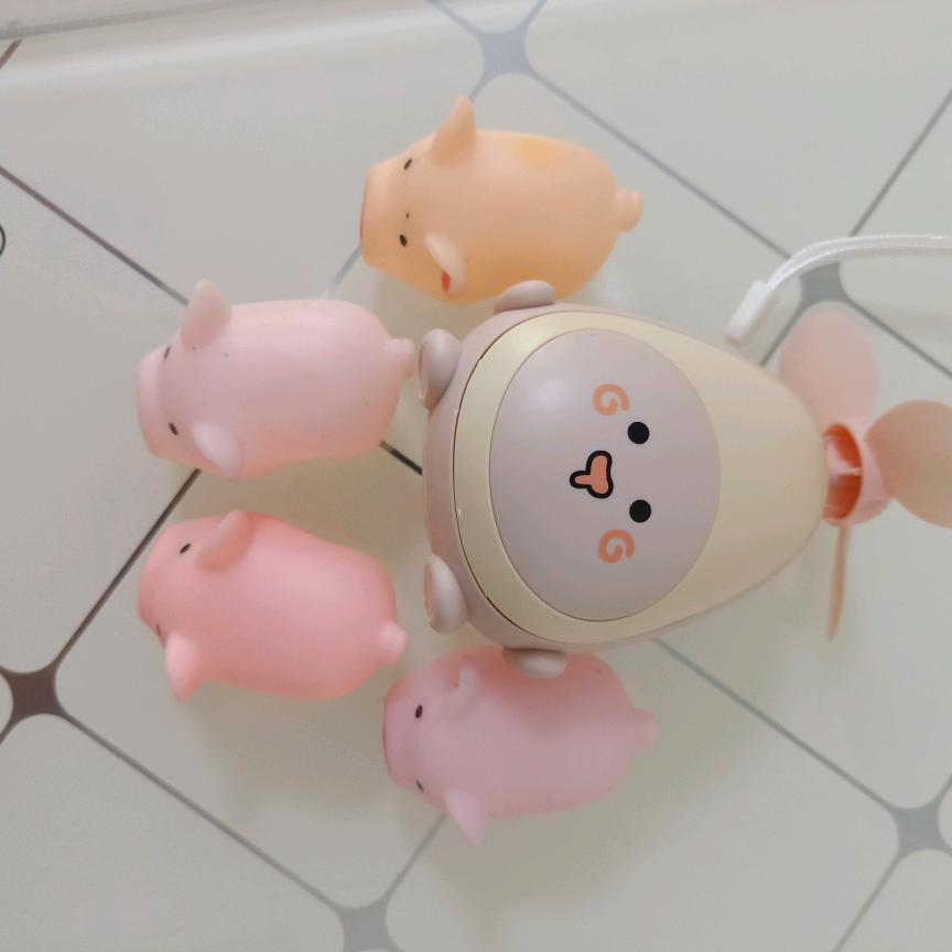 信天翁