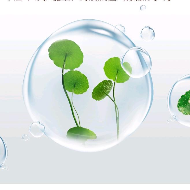 飞来一碗小仙女