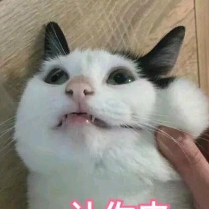 🌈XXXL的小项🌈