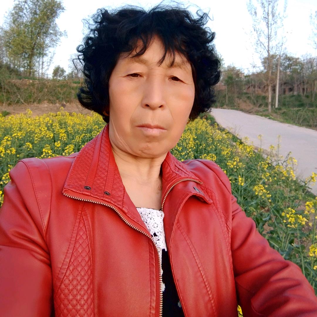 开心的玫瑰🌹