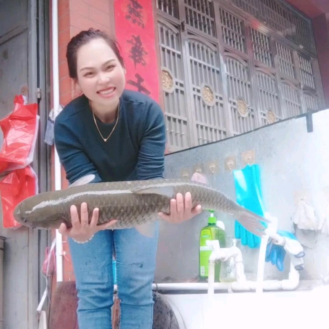 小美，水产，渔具店