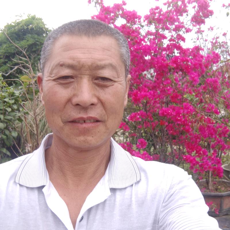 农村张哥