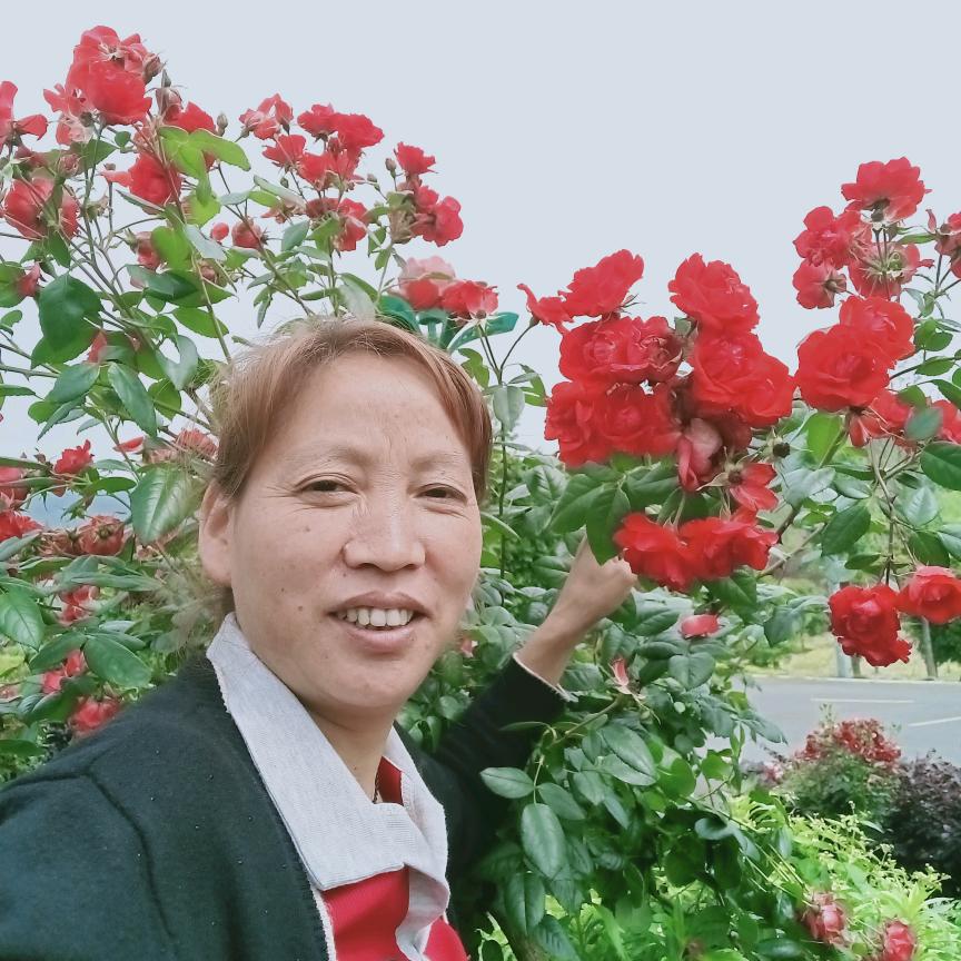 中丽