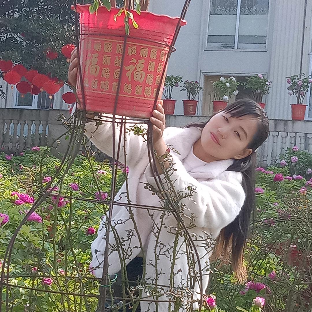 心越姐