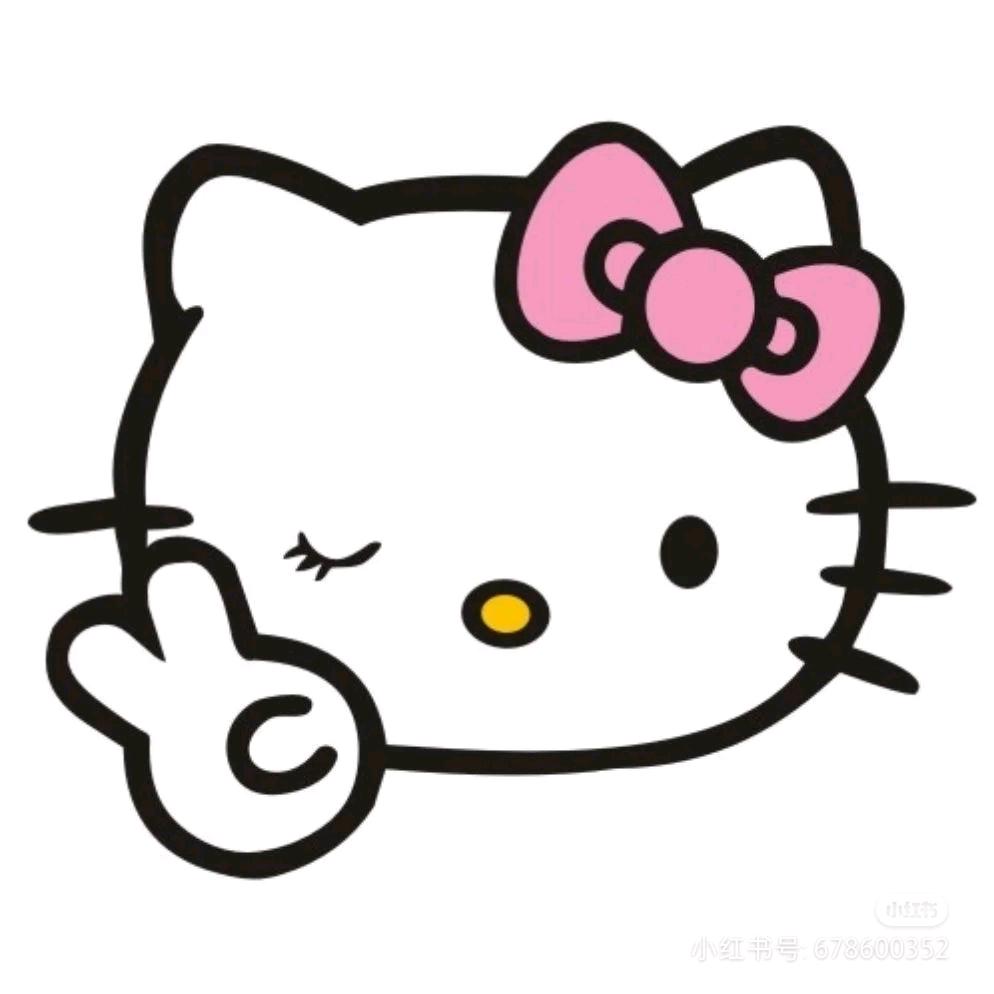 大琪.
