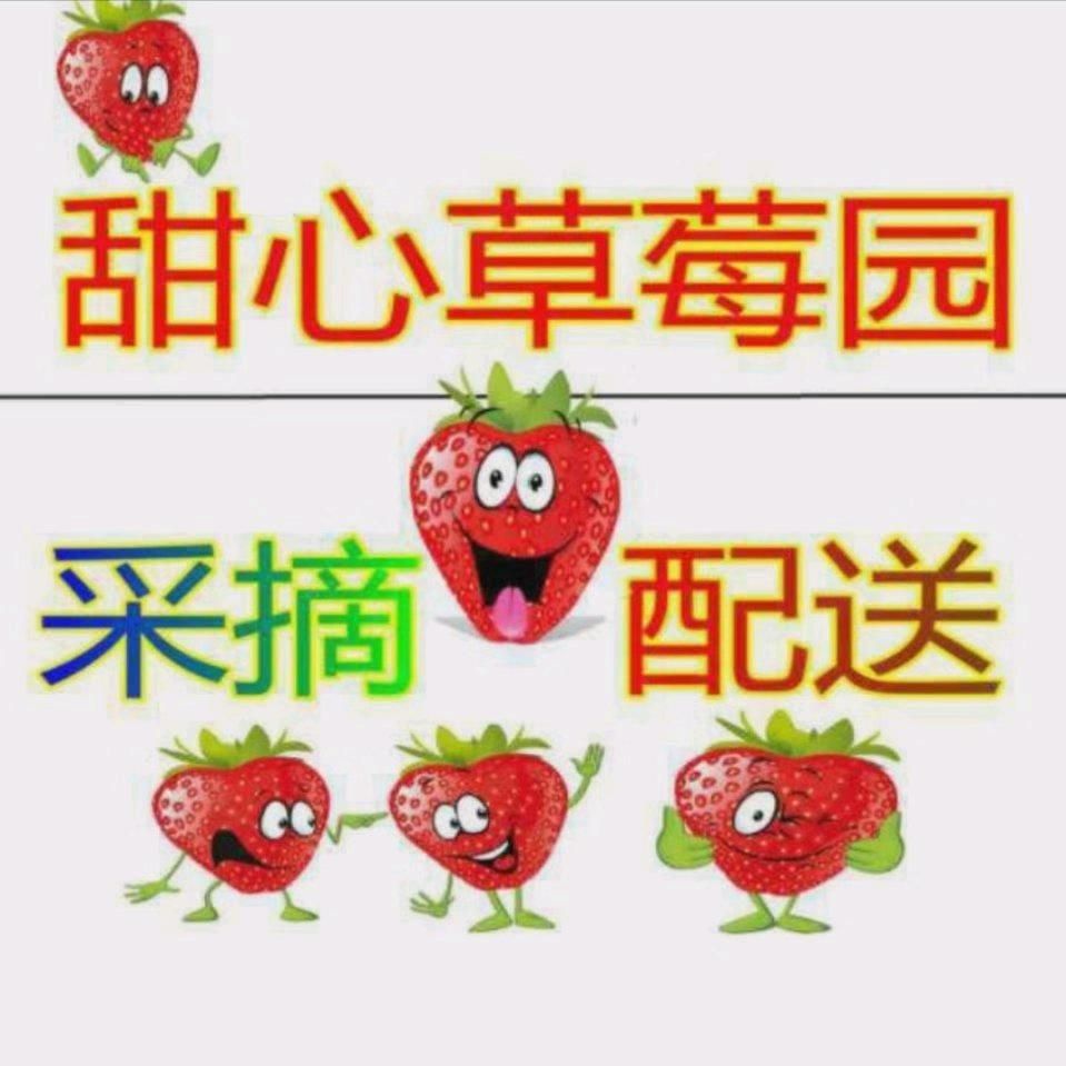 广饶甜心草莓采摘园