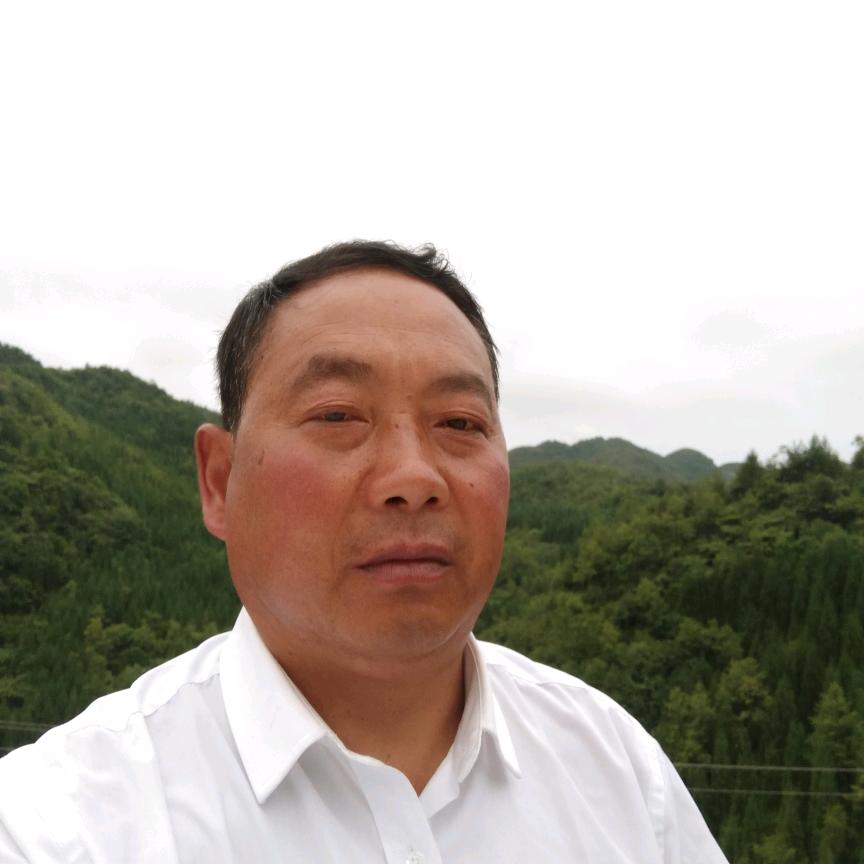 用户3087829344185