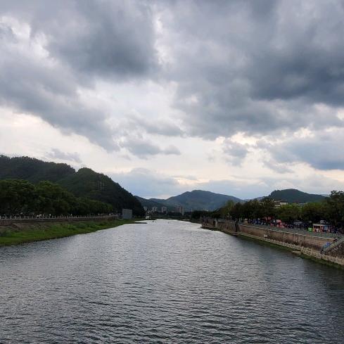 等花海来潮头像
