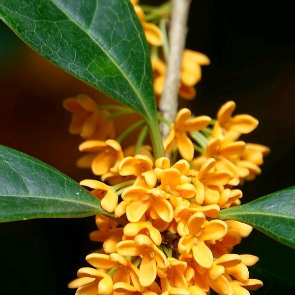 @⛳️⛳️與蓮❤️❤️快乐每一天🎖🏅