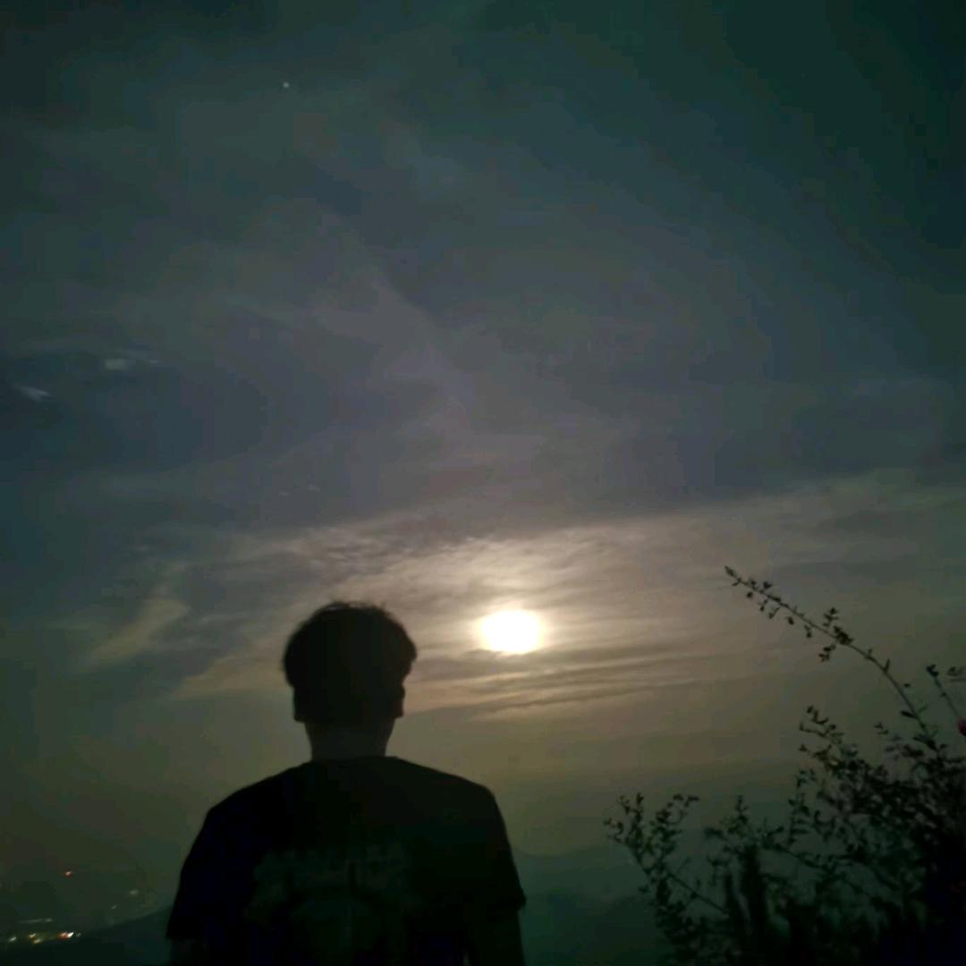 小老弟（蛇类科普）