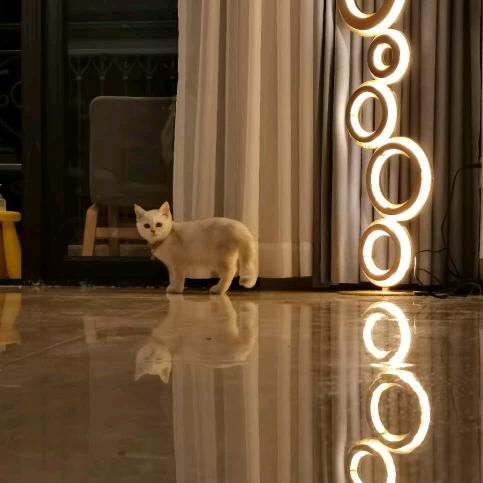 中山市多木灯饰有限公司