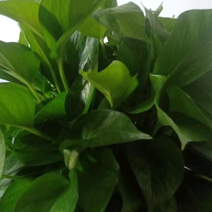 人生很苦也很累。