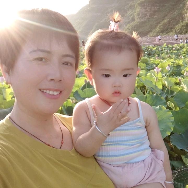 岁岁无忧