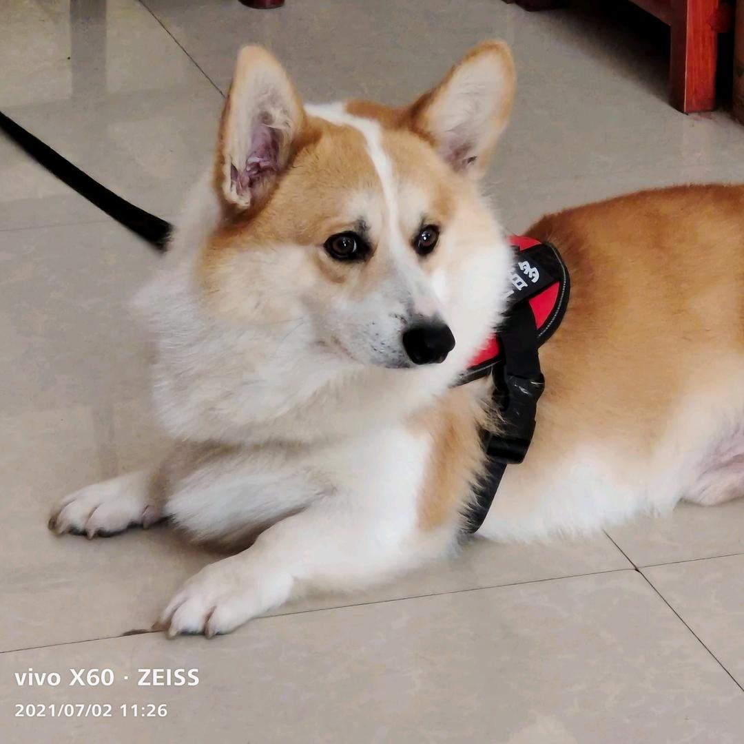 瑞丽市红之韵红木家具