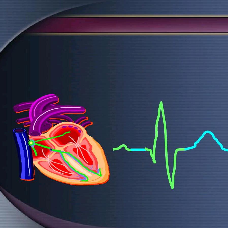 新疆雄佧商贸有限公司