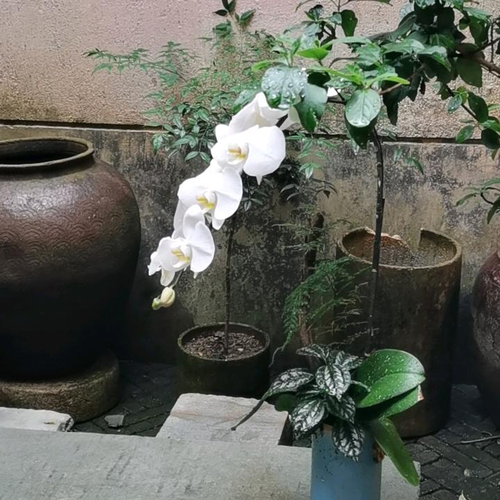 涵