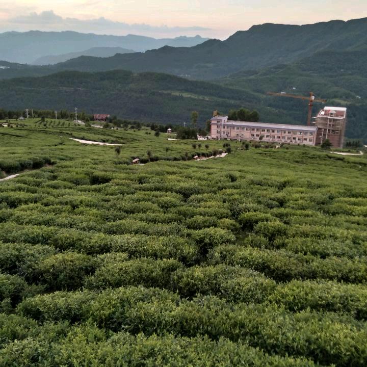 飞燕