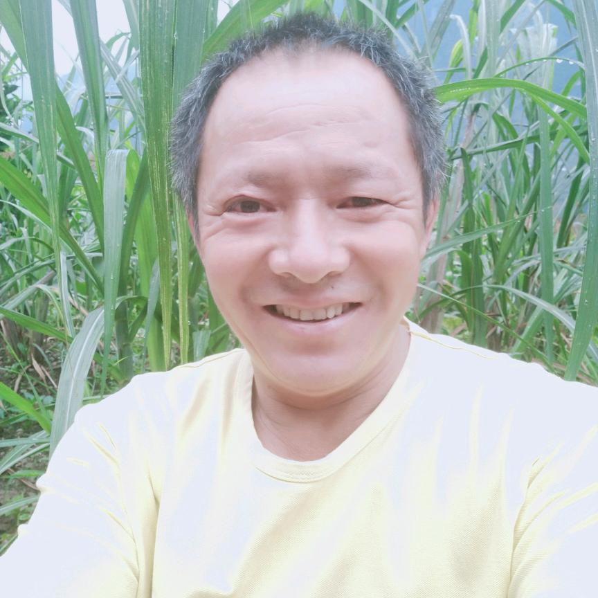 思念梦中人