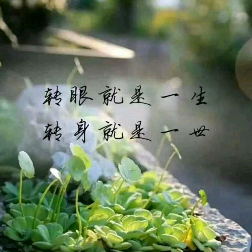 平淡-H