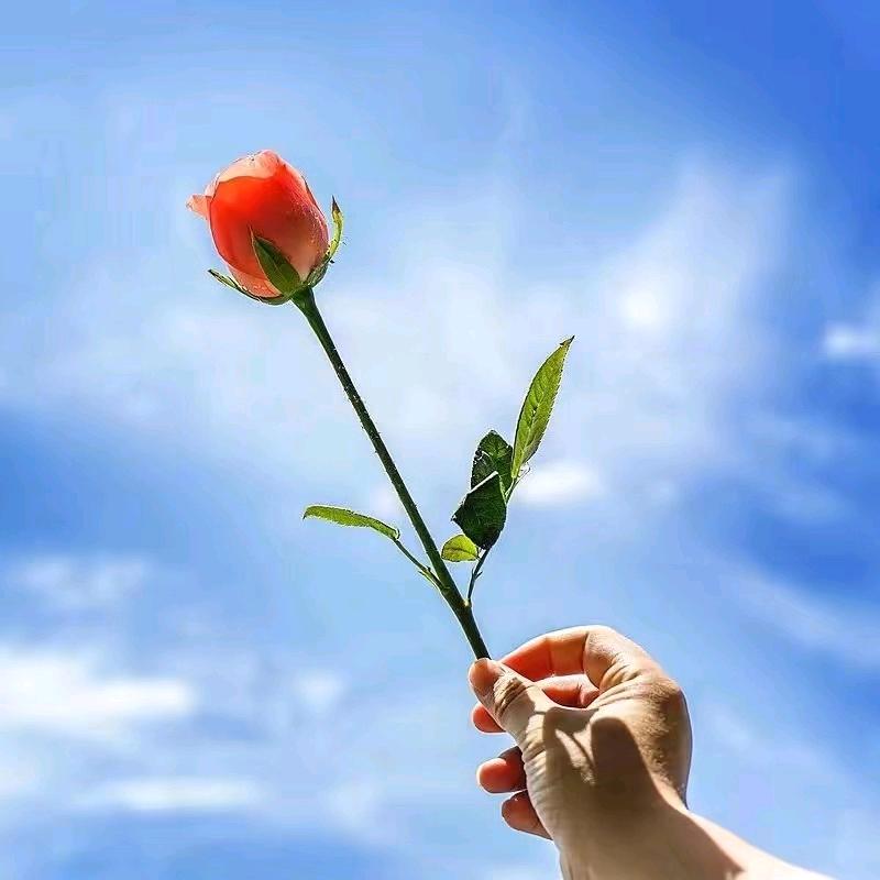 甜蜜蜜
