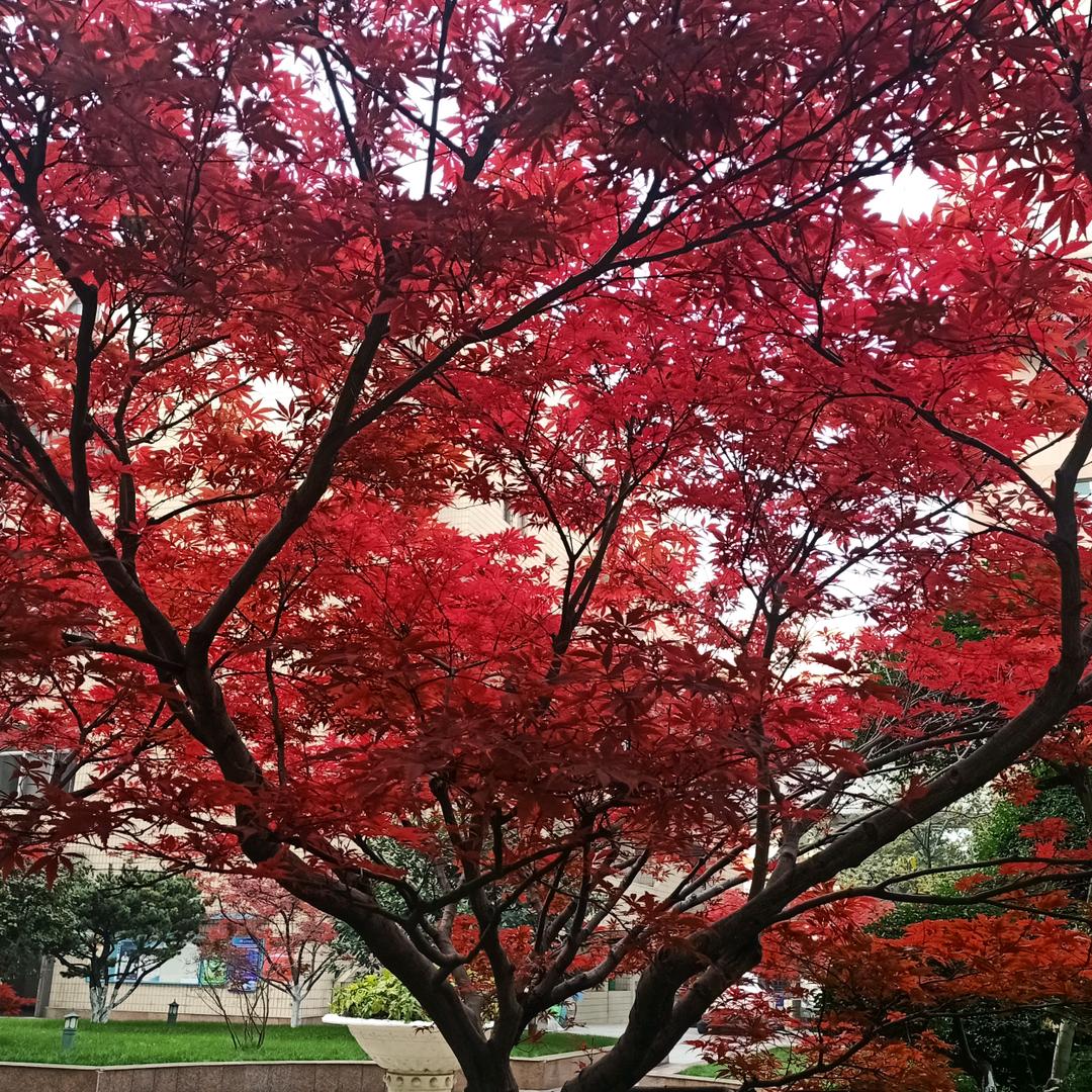 幸福^O^