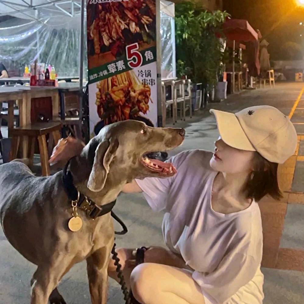罗夏头像
