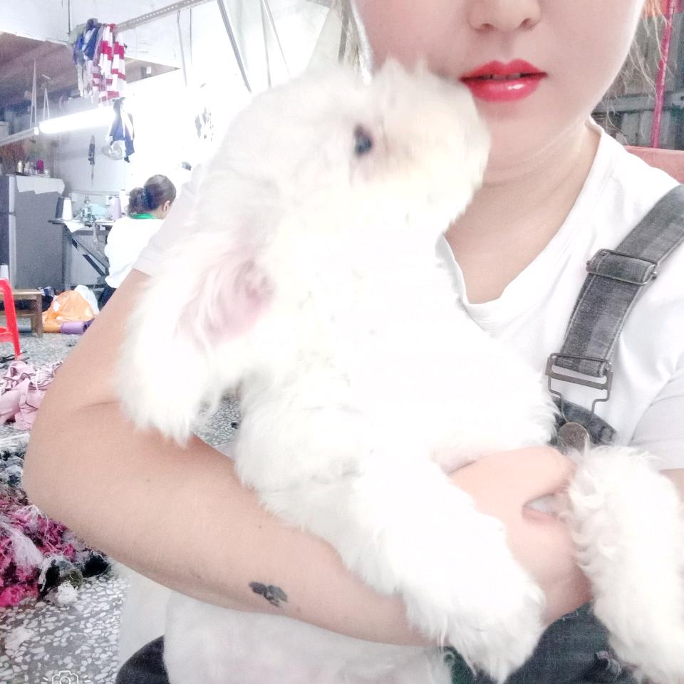 缝盘多名