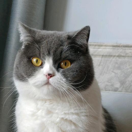 品品&咪咪的犟种妈