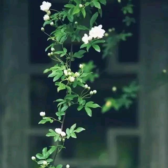 不知道想啥名儿的名字