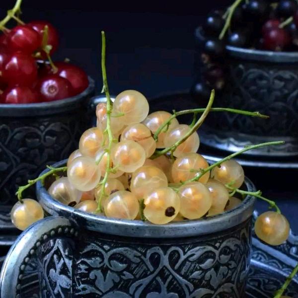 🌴🌴秋天的风🍒🍒