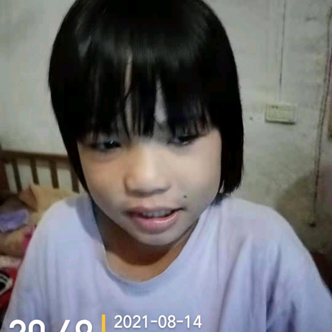 杨丽敏