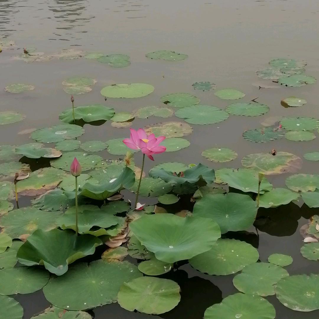 ^^一米阳光^^