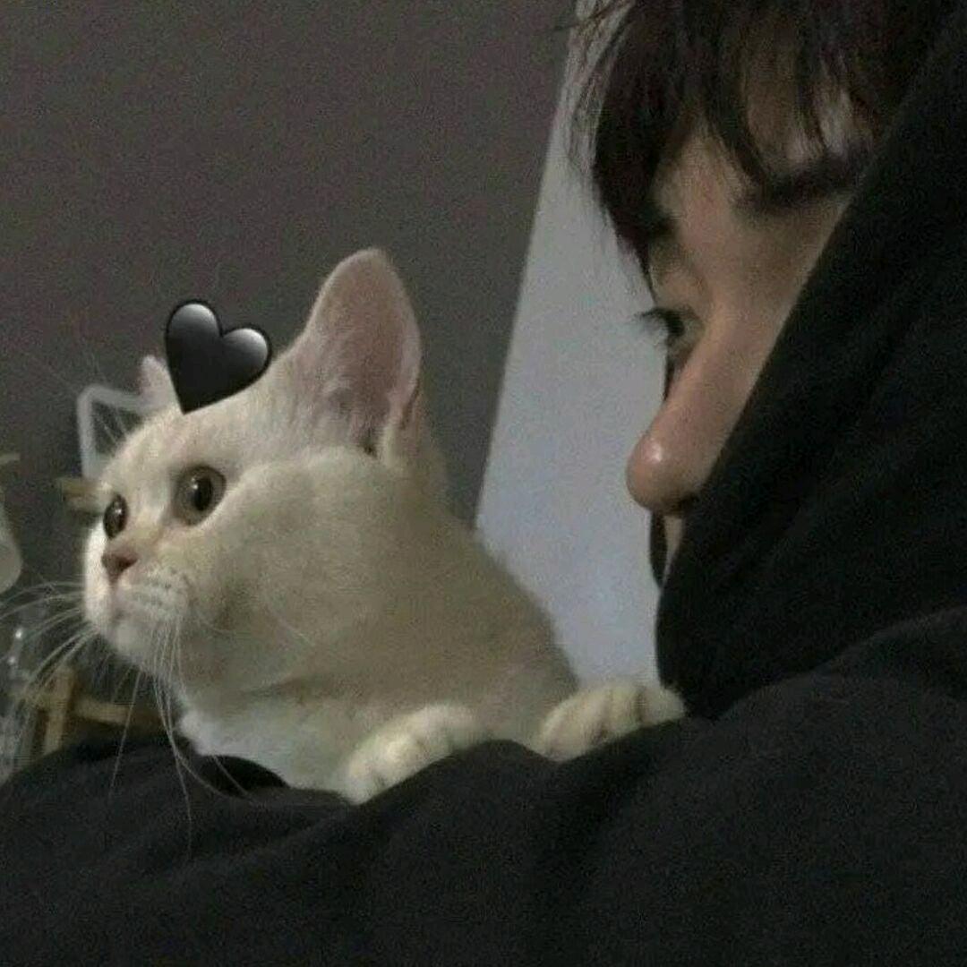 煖吧