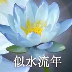 午后的太阳