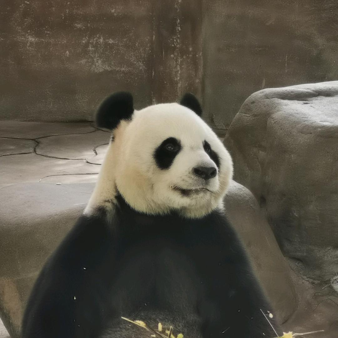 月魄服饰