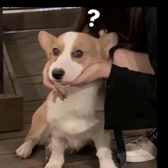 是波仔呀！