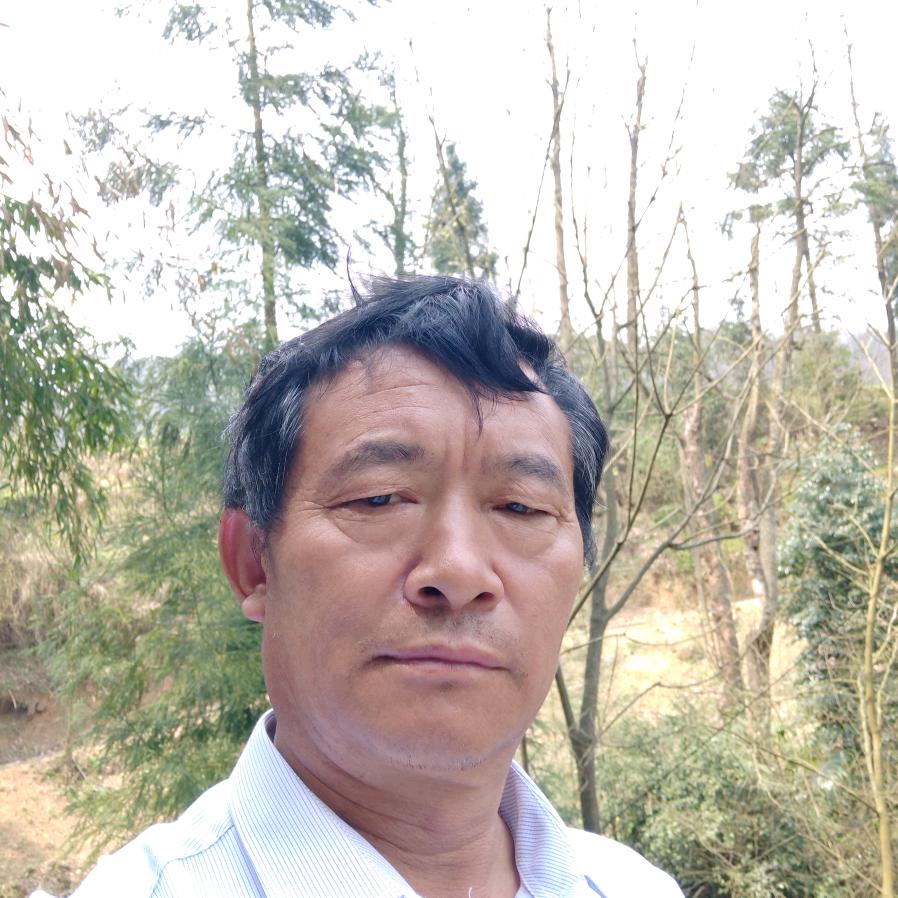 用户春江花月