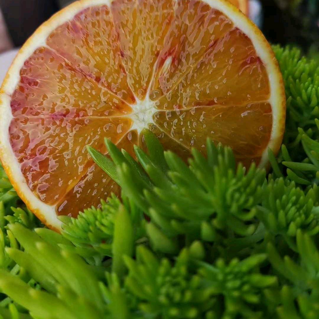 用户向幸福出发