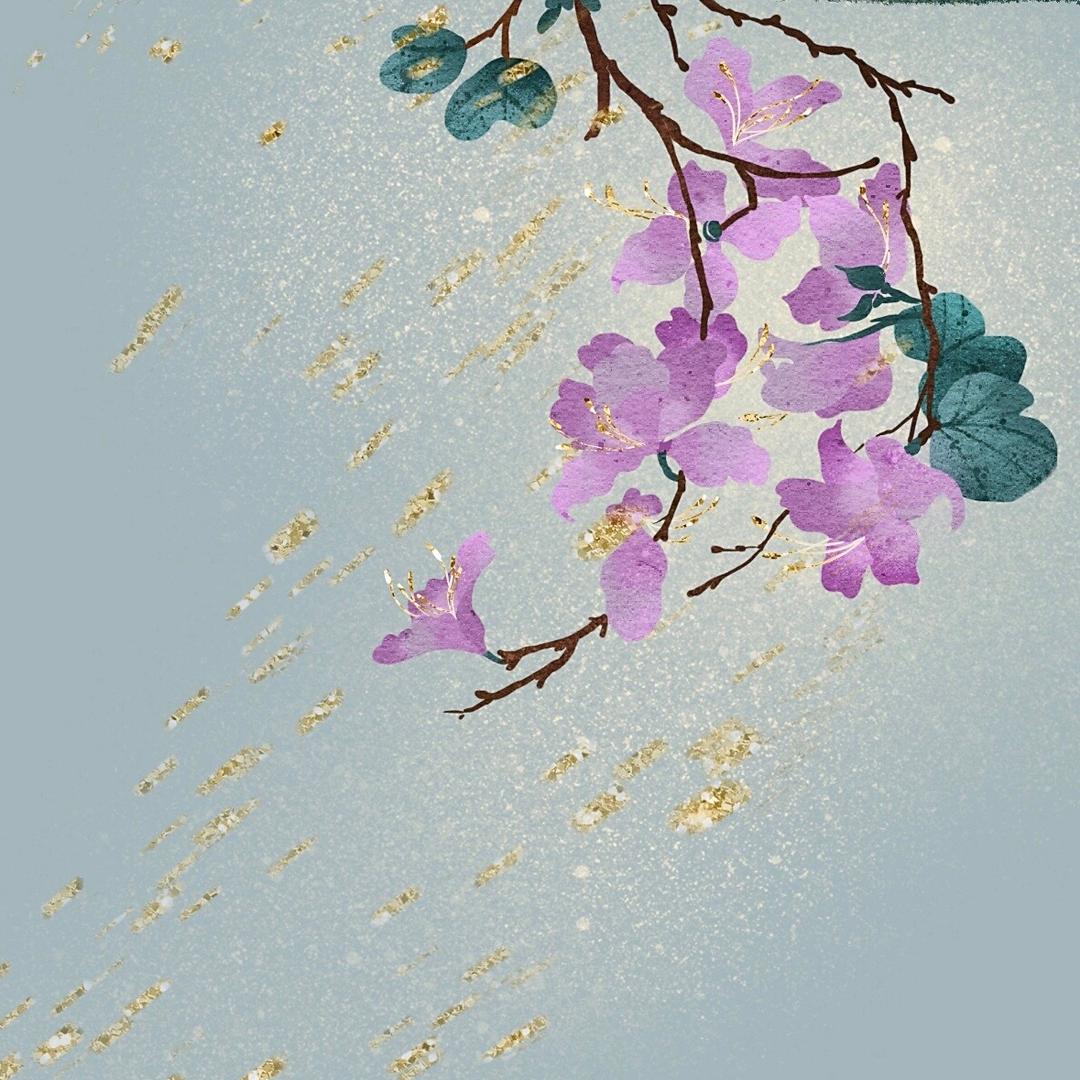 婉约进行曲