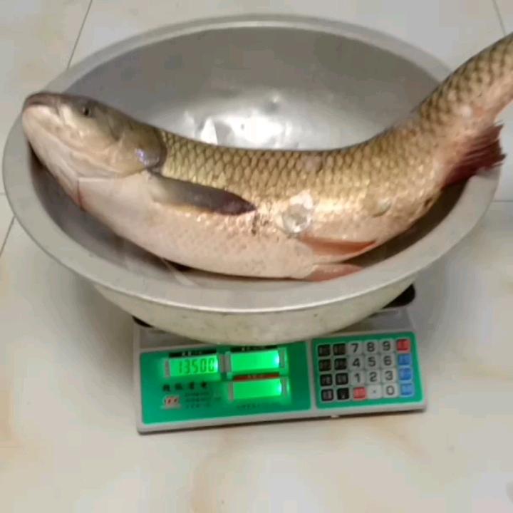 🚬🚬逍遥🎣自在