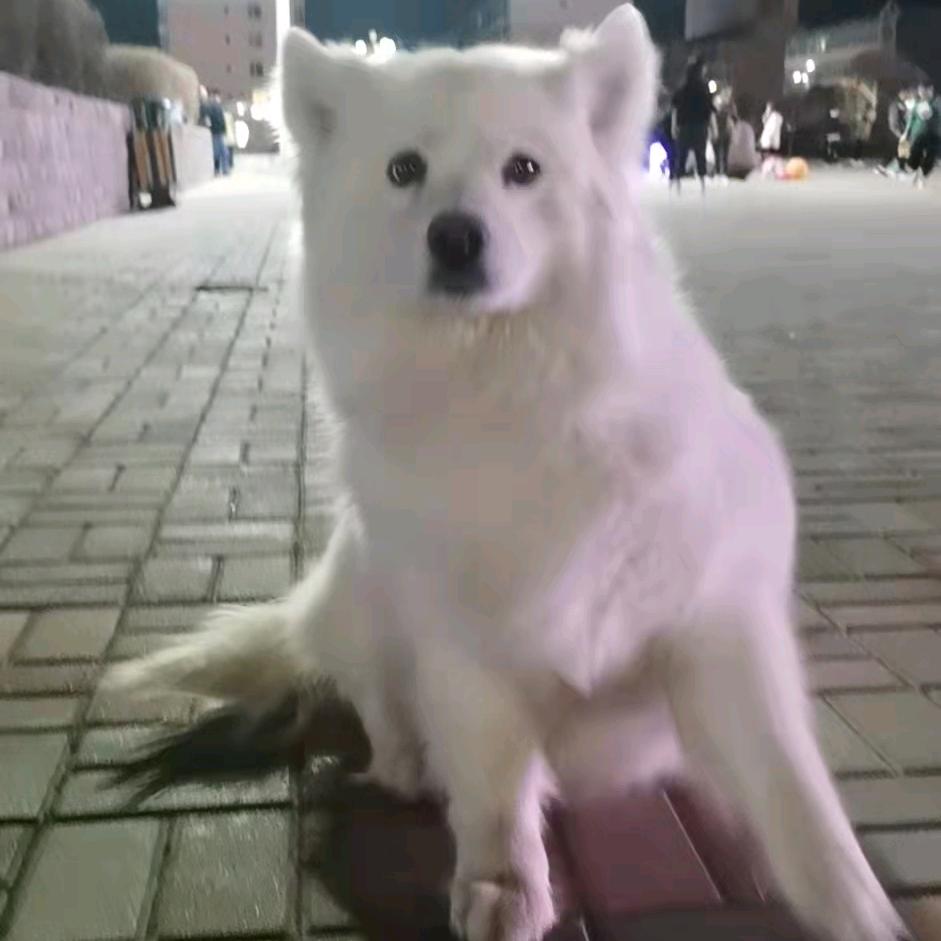 如梦初醒